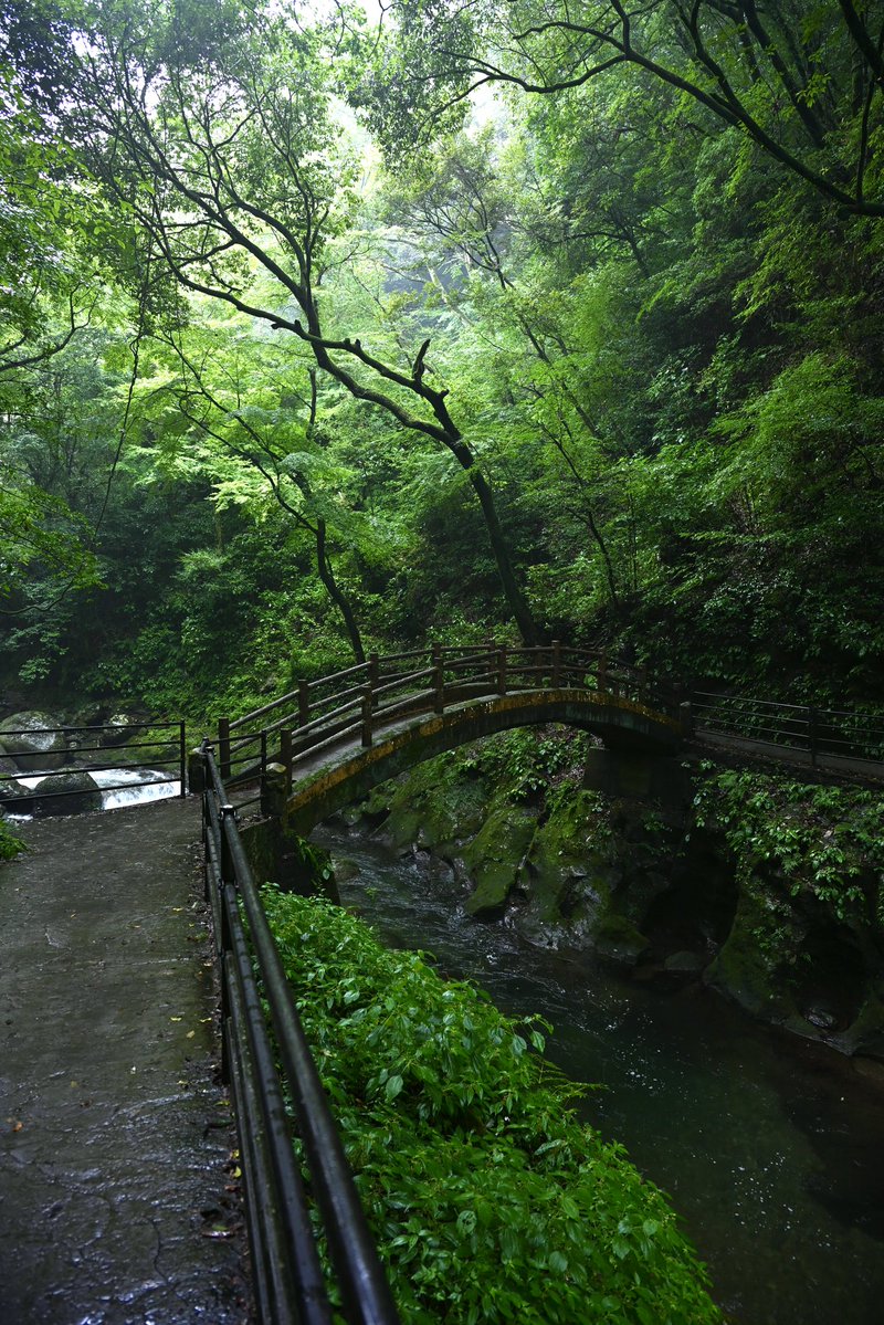 akaharaimorin's tweet image. 2025.08
高千穂峡 幣立神社 天岩戸 吾老ヶ滝

 #Nikon   
 #Z6III 
 #写真好きな人と繋がりがたい