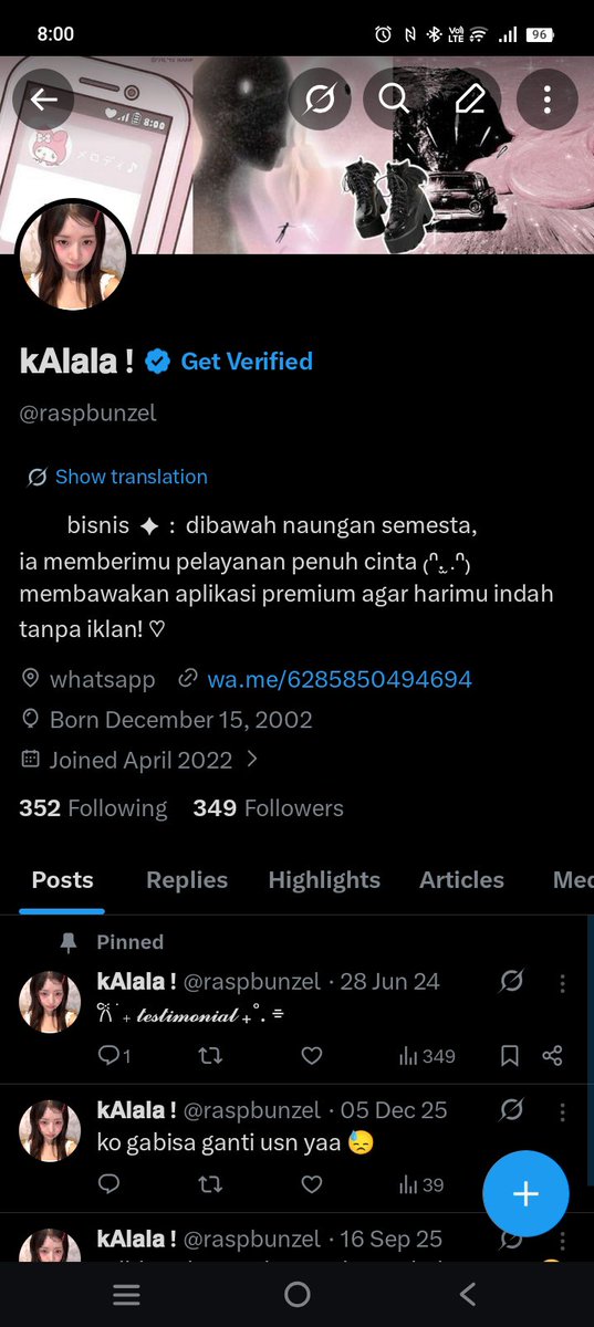 🎀 tweet media