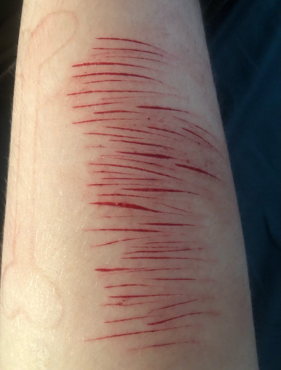 Ulrich of shtwt 𐂯 tweet media