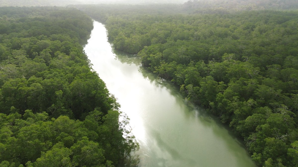 Lawebdelasalud1's tweet photo. Día de la Tierra: Avances de Panamá en gobernanza forestal y gestión territorial indígena
@FAOMesoamerica @MiAmbientePma 
https://t.co/hjo8PulLTy https://t.co/vK6vV33al2