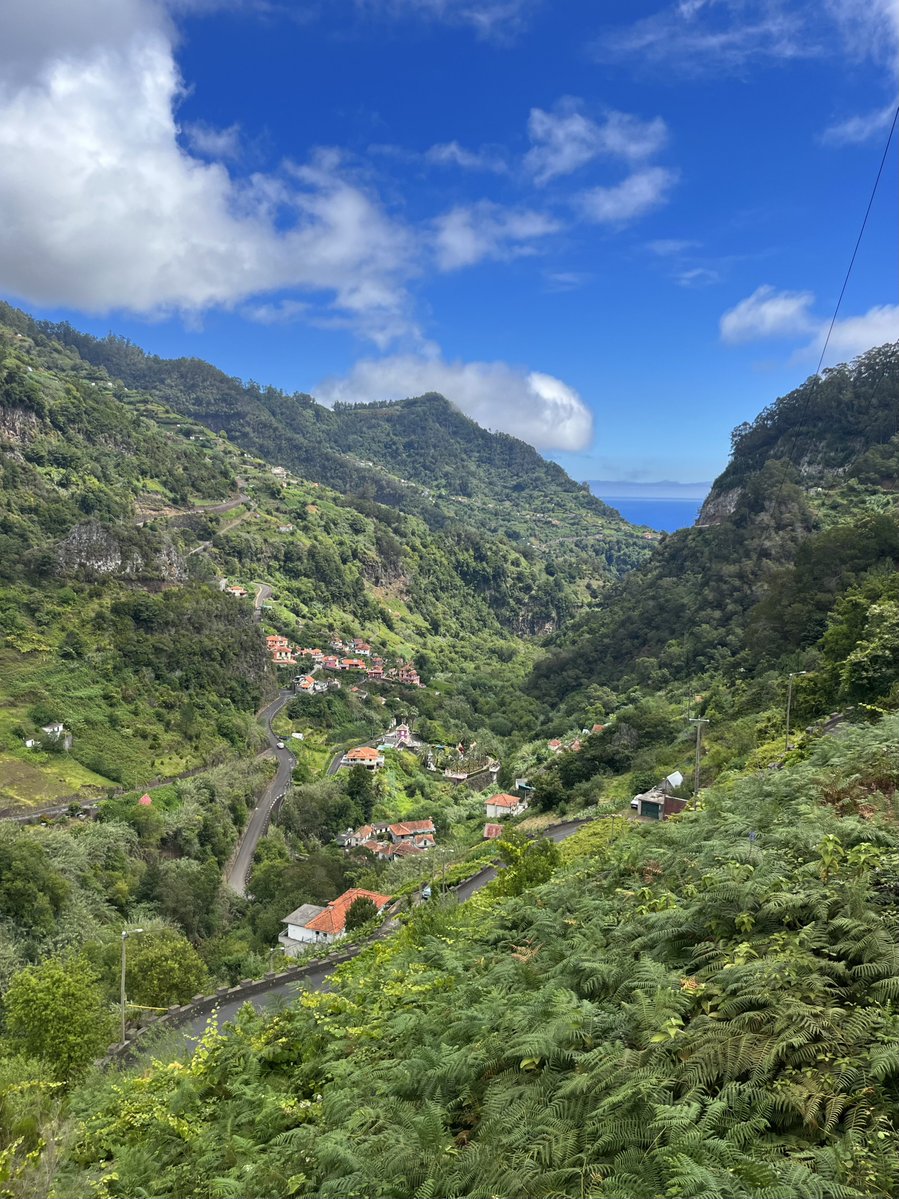 rly cool girl tweet media