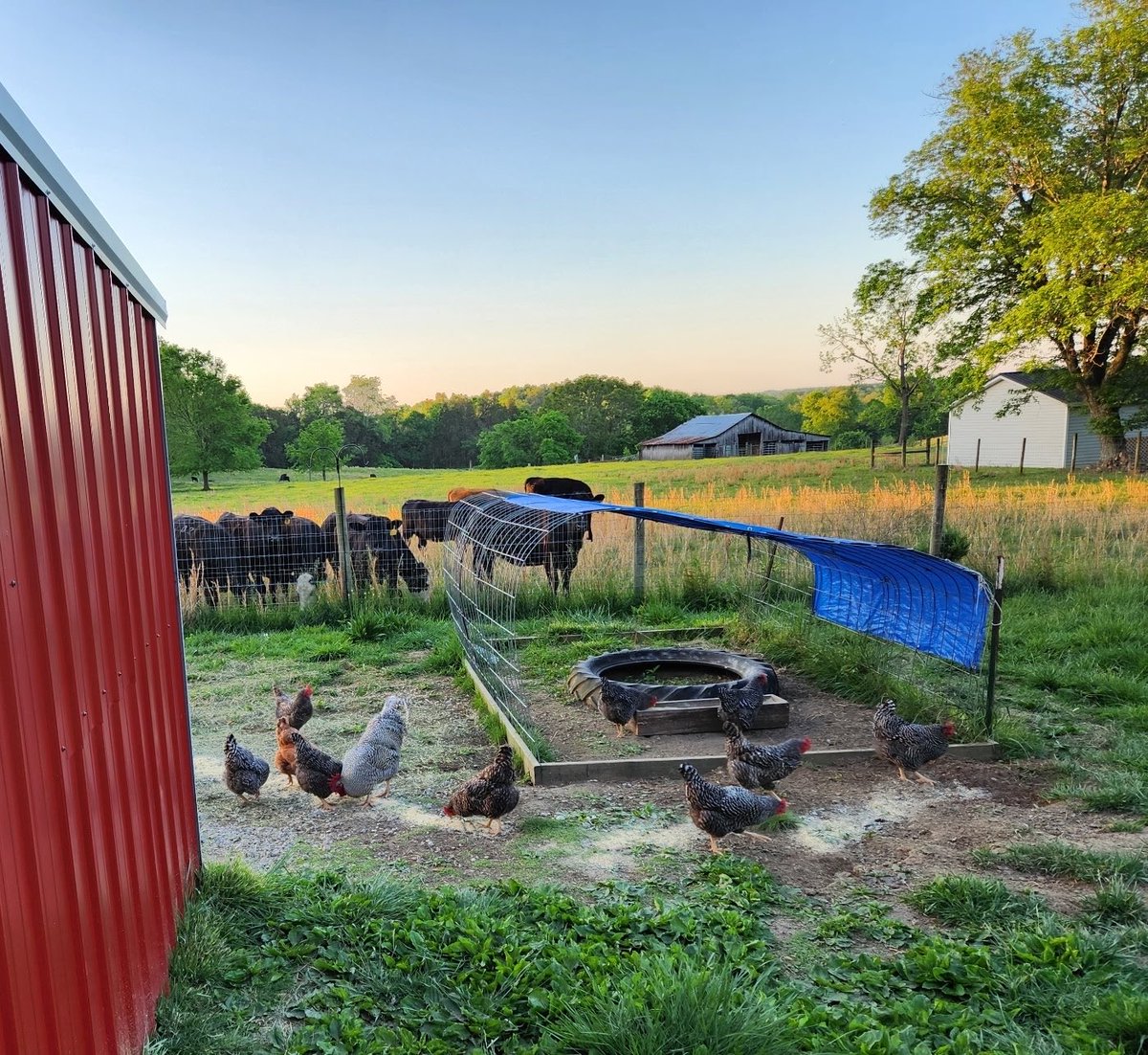 🏴‍☠️Kentucky Rebel Scum🏴‍☠️ tweet media
