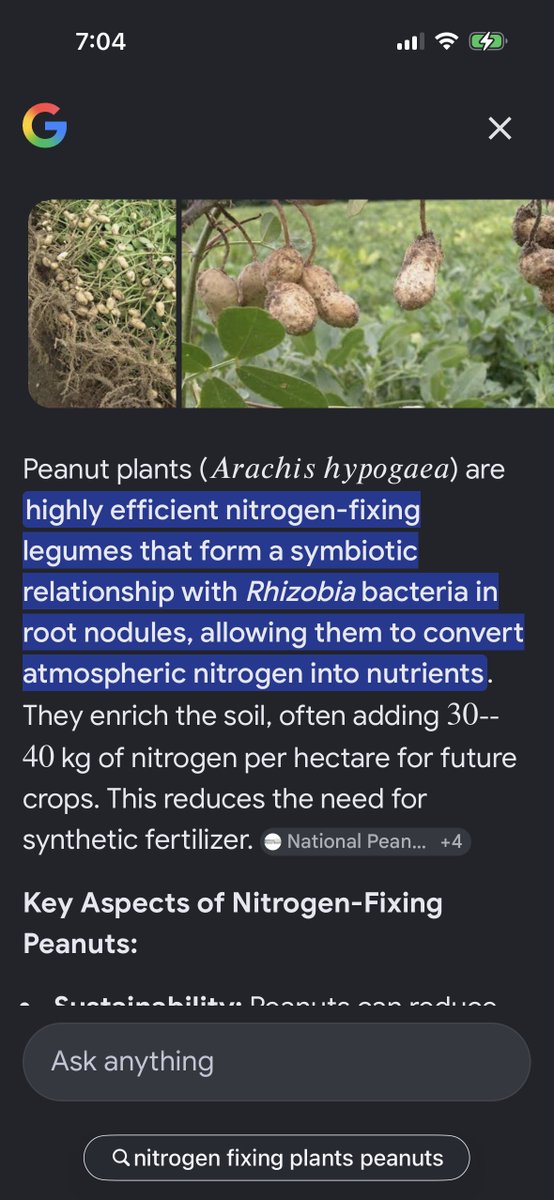 Highly Ganjanous tweet media