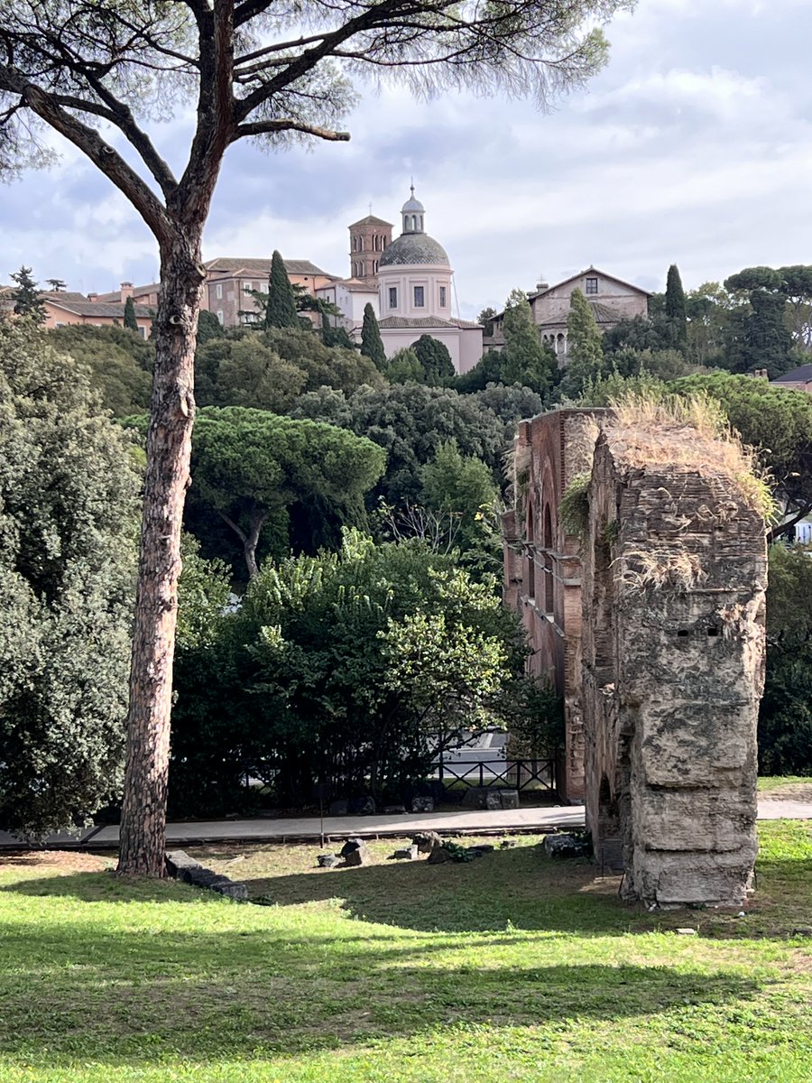 MinervaArmata's tweet image. Angoli di #Roma 
Il Celio dal Palatino