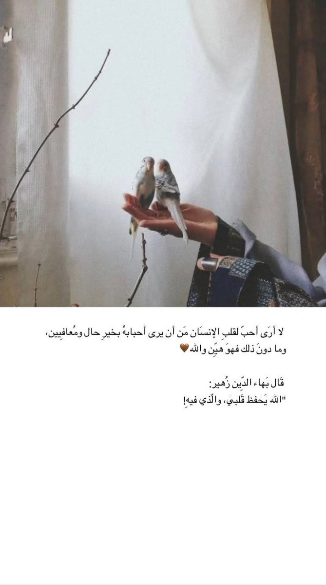 إيڤآ tweet media