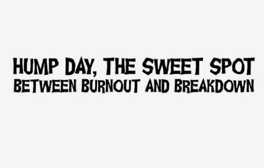 Mandy 🌹 tweet media