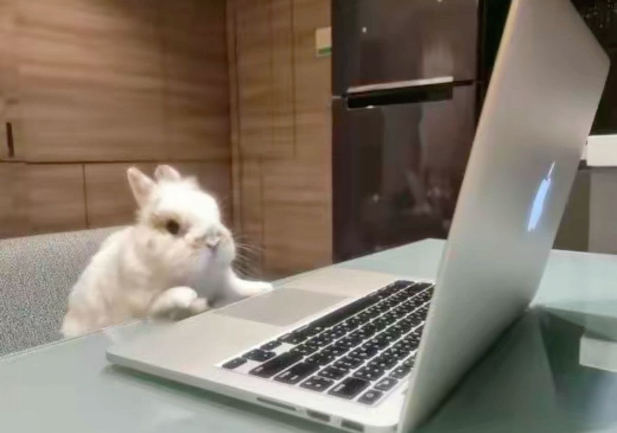 booo mooo tweet media