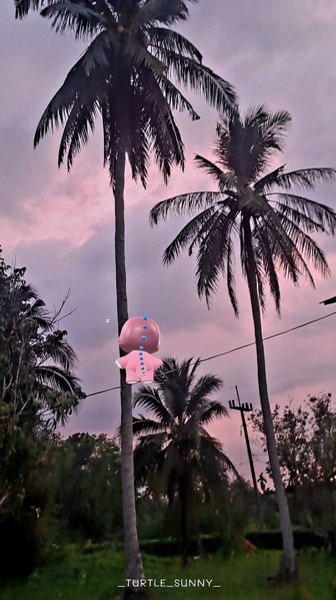 🍼 2 1 9 2 O 1 4 /2 🦕 FT.JAIDEE 🌻🌞 tweet media