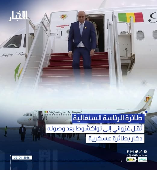 FinaLaPatriote tweet media