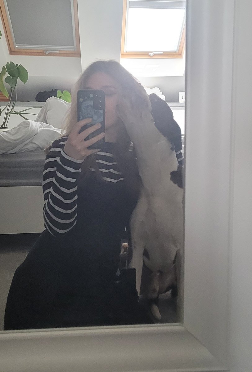 Tali 💜🌸😏 Human Gremlin VTuber tweet media