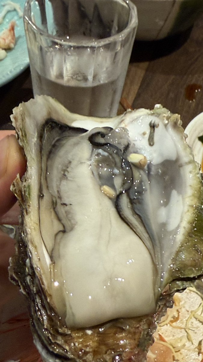 ワイタト tweet media