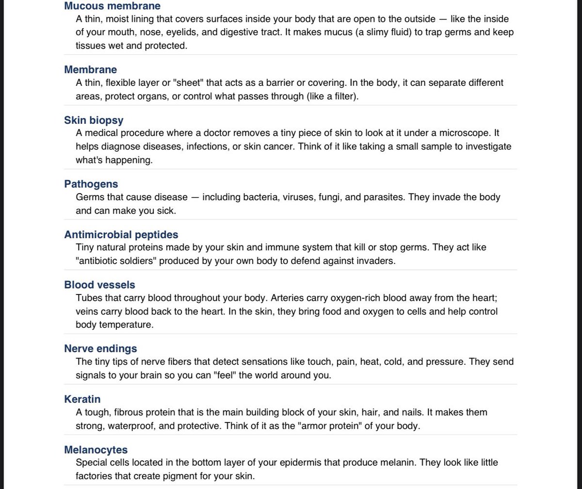 Nggghhuyf's tweet image. Skin -the largest organ of human body 

#dermatology #skin