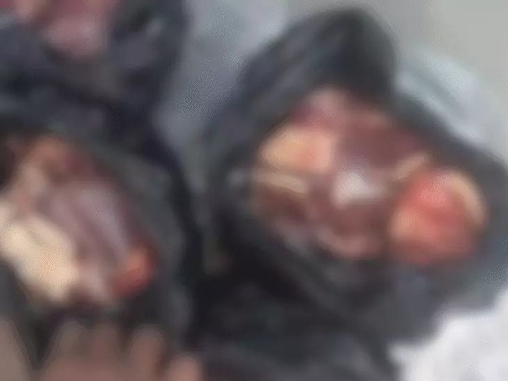 🇮🇳Jitendra pratap singh🇮🇳 tweet media