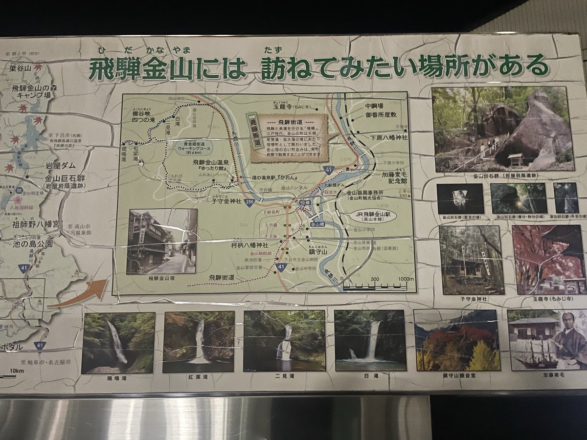 色んな趣味してるホモサピエンス tweet media