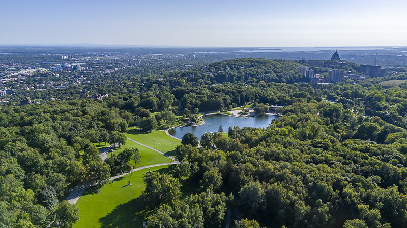 Mon Montréal tweet media