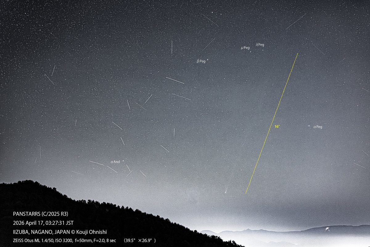 koujiohnishi's tweet image. 4月17日早朝のPANSTARRS (C/2025 R3) 
#パンスターズ彗星、50㎜でのワンショットである。
イオンの尾は20度前後伸びている。太陽観測衛星STEREO Aが見ている画像と比較してみたい。
(画角　縦40°、横27°）

#PANSTARRS (C/2025 R3)
#長野県は宇宙県