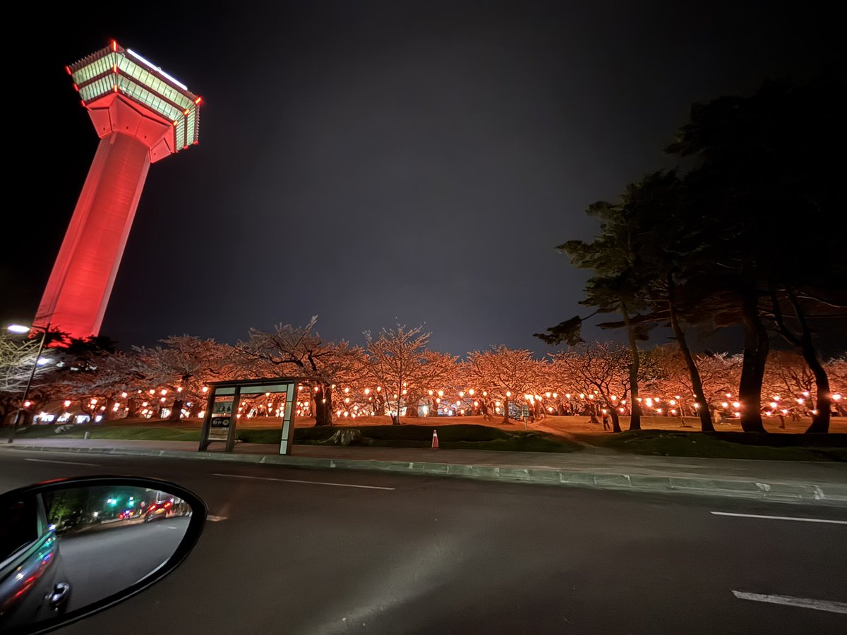 makoto yonezawa tweet media