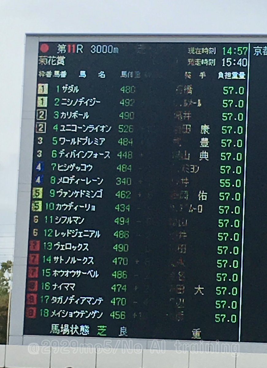 もこ🍖 tweet media