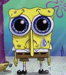 mochi🕊️🦅 tweet media