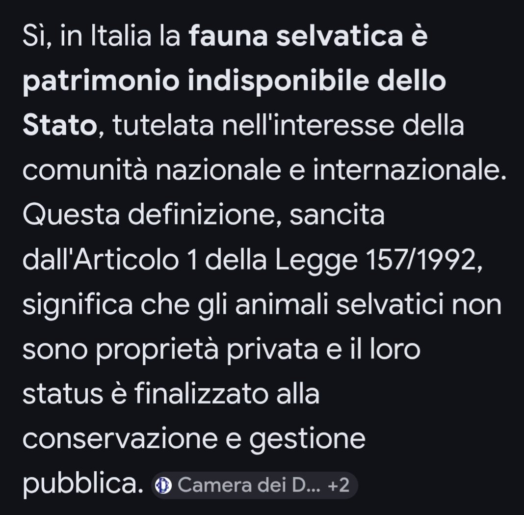 Mario Tozzi ⛏ tweet media