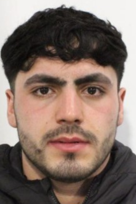 Go Radio tweet media