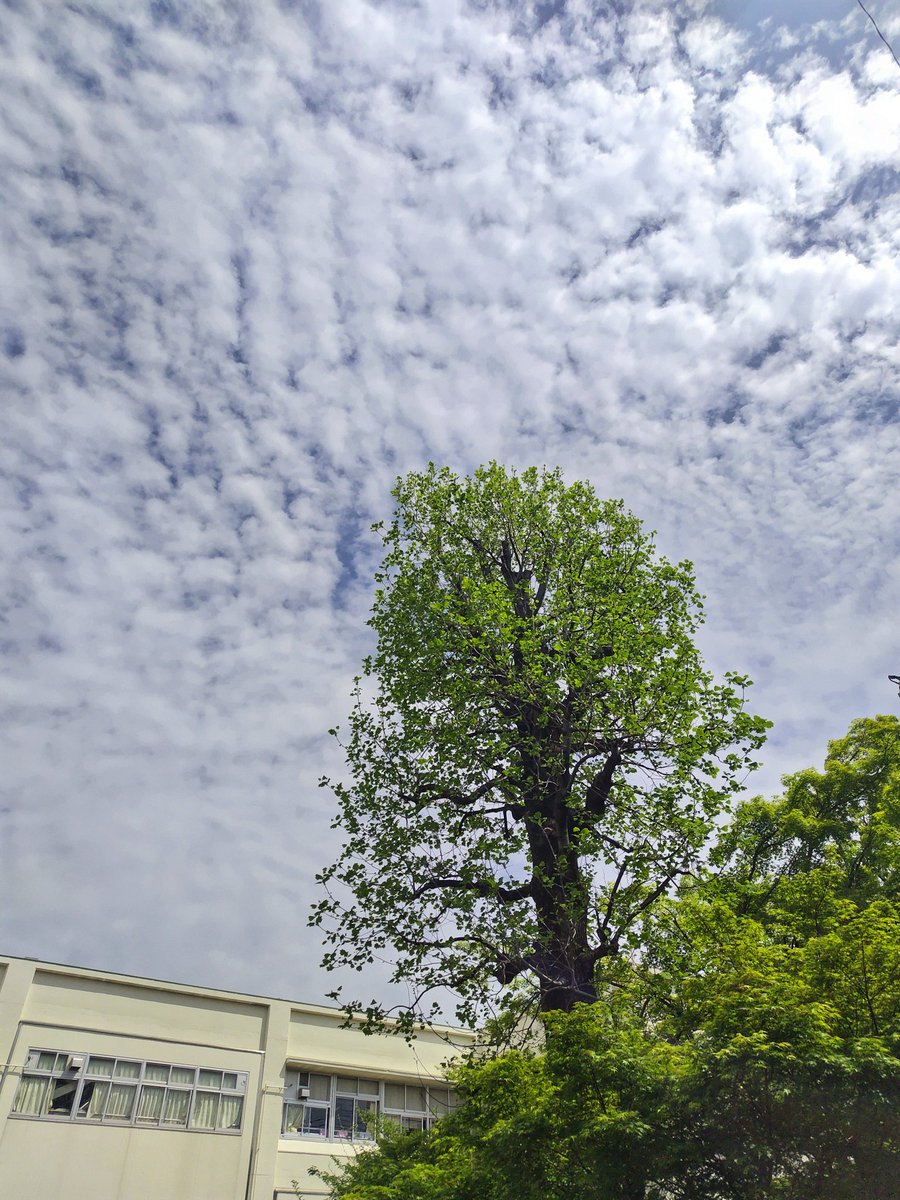 there836's tweet image. 145 #watching #clouds