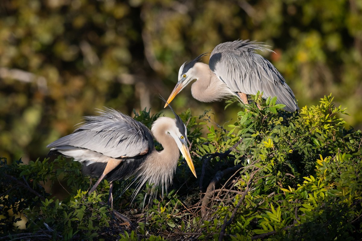 bernabephoto's tweet image. The Earth doesn’t need our applause. It needs our attention, our restraint, and our willingness to show up for it the way it has always shown up for us. Happy #EarthDay  Get outside. Touch Grass. 🌍