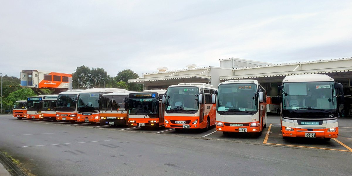 リムジンバス Airport Limousine Bus【東京空港交通】営業企画課 tweet media