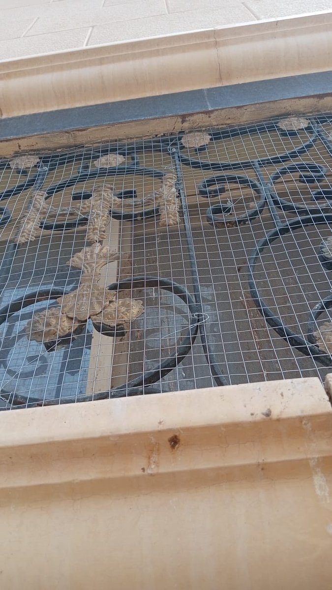 شركة تركيب طارد شبك الحمام بالرياض tweet media