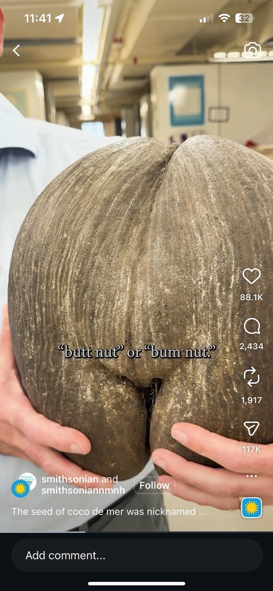 cas_smith's tweet photo. Thank you @smithsonian @NMNH https://t.co/YoCneGhxyM