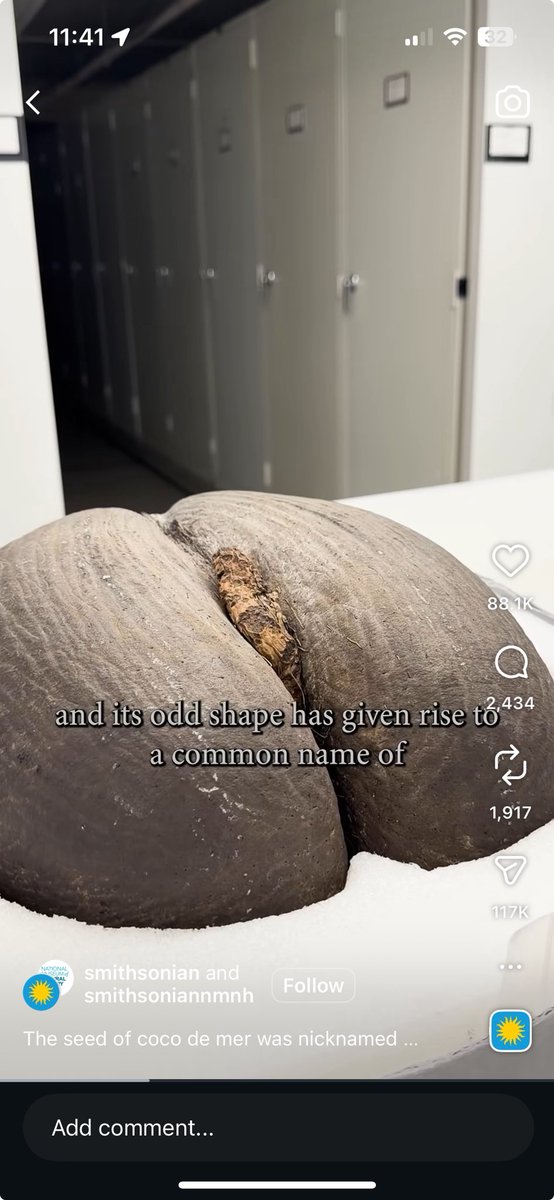cas_smith's tweet photo. Thank you @smithsonian @NMNH https://t.co/YoCneGhxyM