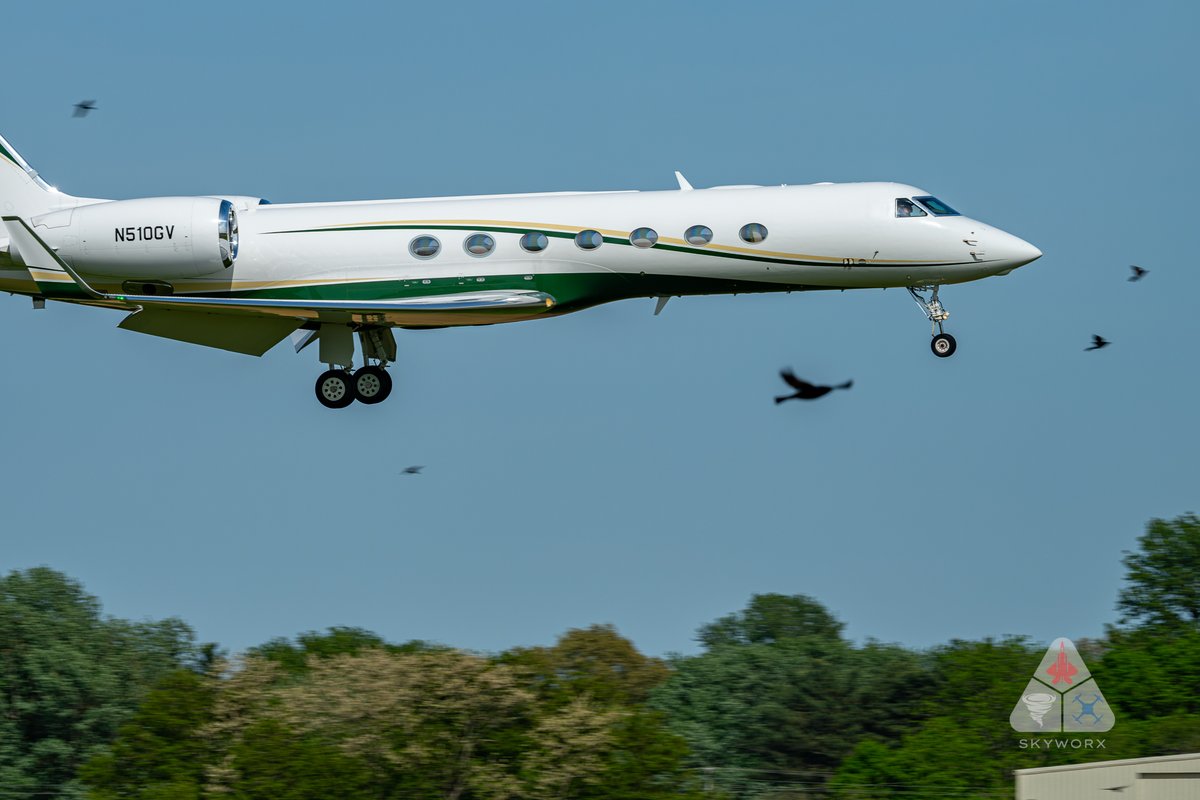Skyworx_Media's tweet image. I'm not sure why but I think this is one of the coolest looking Gulf 550's I have seen in some time.  It looks like something a high ranked PGA Tour golfer would fly in.  Birds on approach were a bonus!

#aviation #avgeek #gulfstream