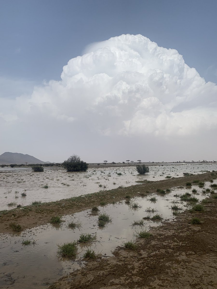 ‏ ‏بــرق ضــريــة  tweet media