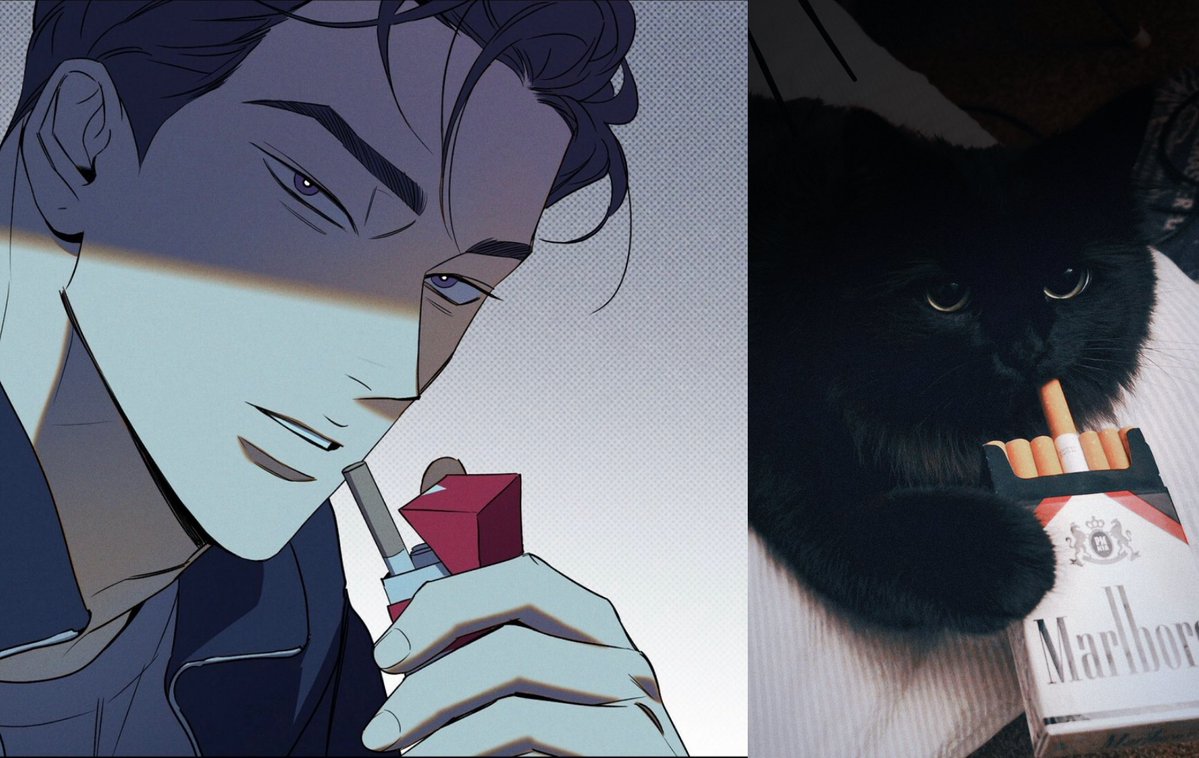 Cat Sand 🐈🐈‍⬛ — Day 9（ch 9
#wetsand #tjian  #tjyw
（it’s the last wet sand day for real😭😭😭u guys ready???