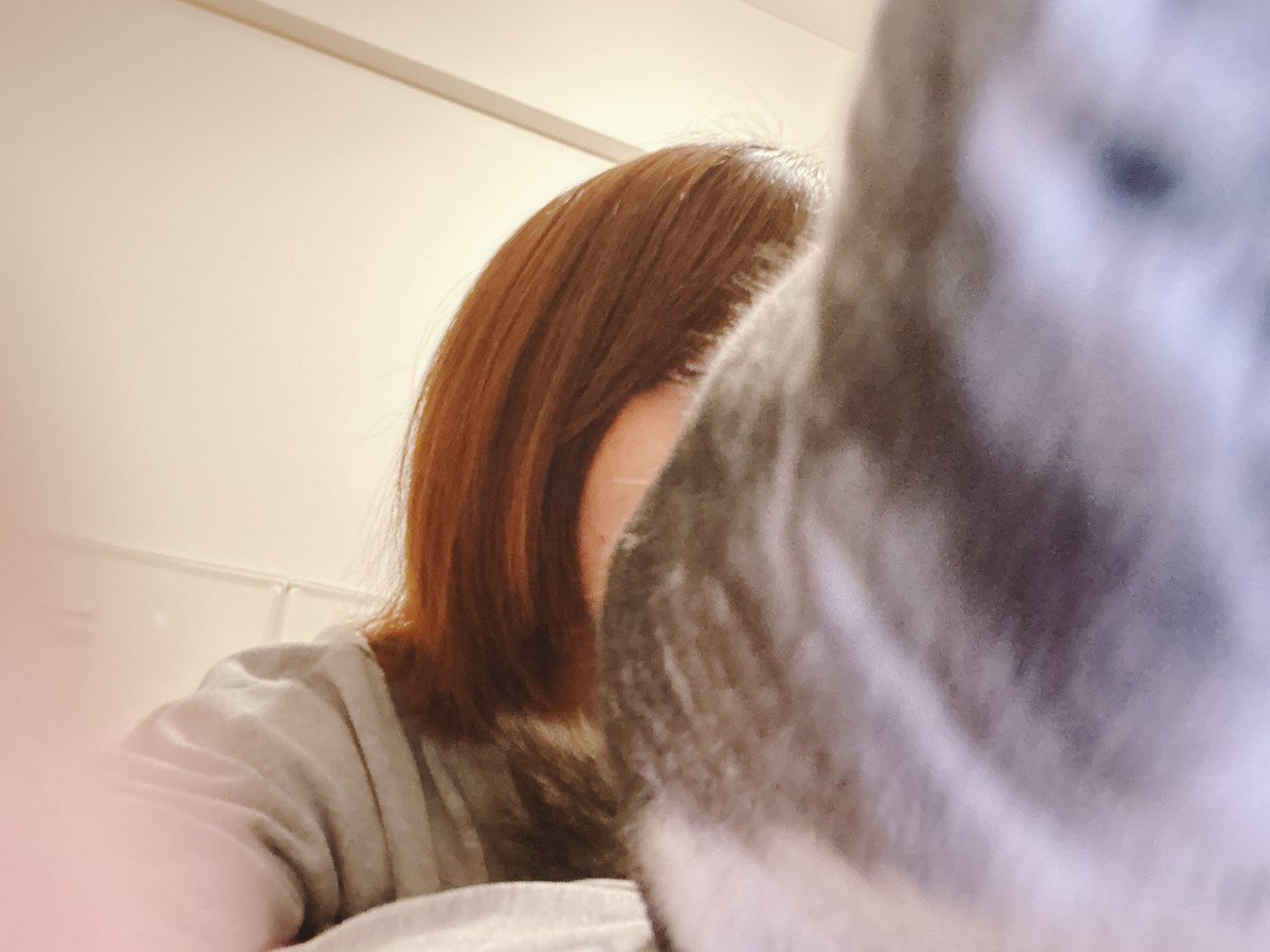 きなこもこ tweet media