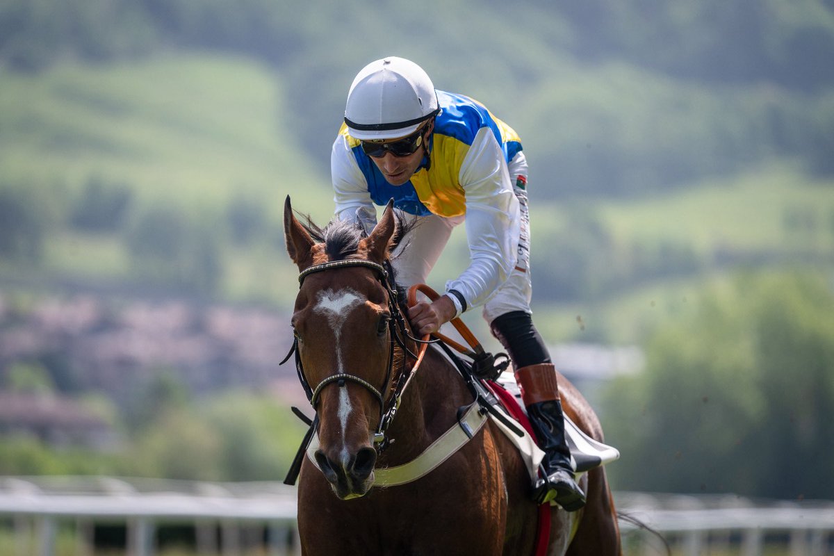 Hipódromo de San Sebastián - Donostiako Hipodromoa tweet media