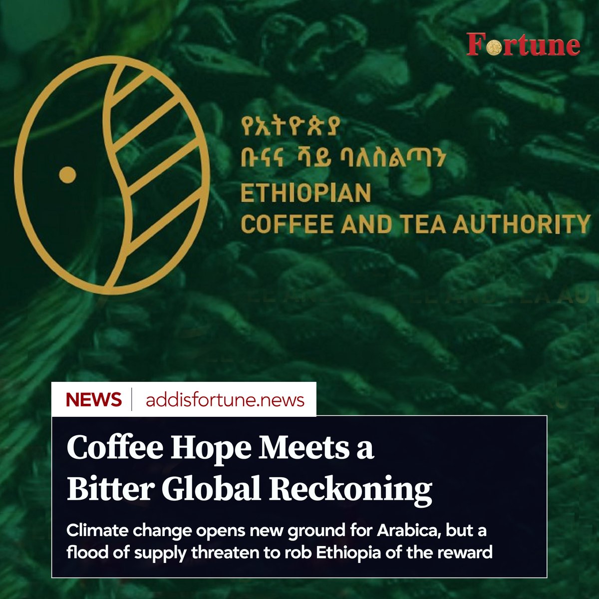 addis_fortune's tweet image. The transition from traditional zones to new highland areas is already underway, but remains uncoordinated. #Coffee #Export #Ethiopia

Read more - shorturl.at/JPxYT