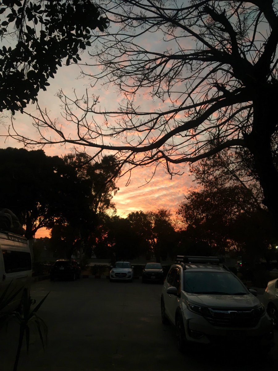 blushverse7's tweet photo. my life outside stan twt ^•^ https://t.co/RES3xVh4dt