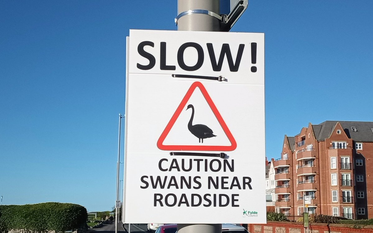 AndrewNoble16's tweet image. Super #sunshine #walkies 🐾 with our #friend Shaun 
#bluesky #vitaminsea #gentlebreeze #seaside #birdsong  #swans 🦢 nesting  #StAnnesOnSea #promenade #GardenTownByTheSea  #Lancashire 🔆🔆🔆🔆🔆🔆🔆🔆🔆🔆😎🍦🍦