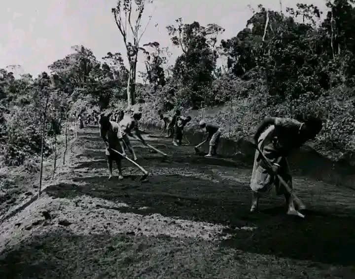 2wandess's tweet photo. @benwehrman Rare picture of white people building South Africa…😜 https://t.co/TYTK2OF6C6