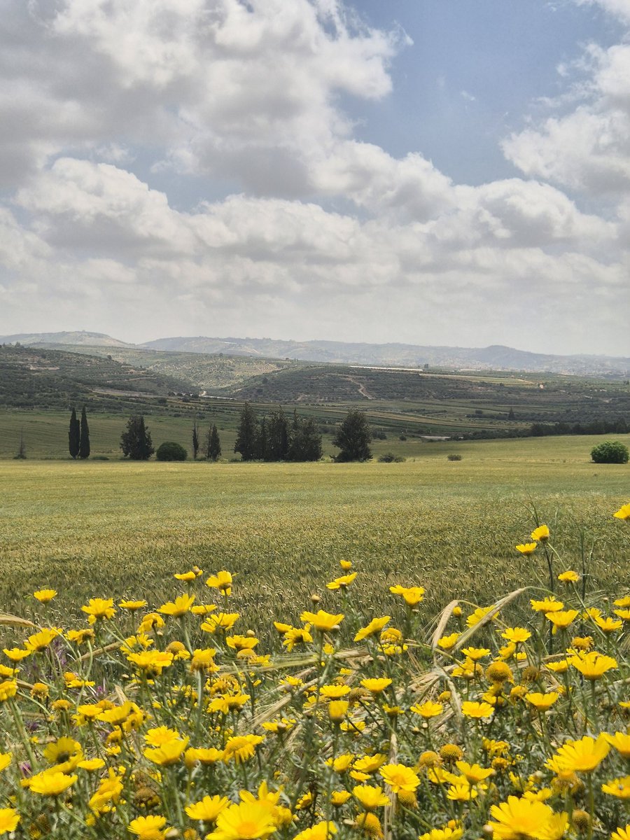 skjask's tweet image. #Home happy birthday Israel!!