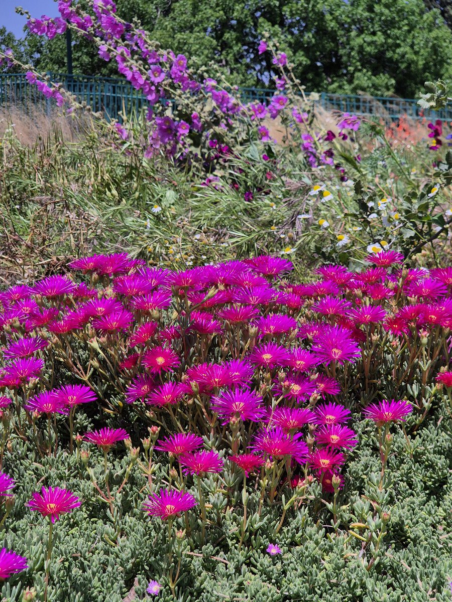 skjask's tweet image. #Home happy birthday Israel!!