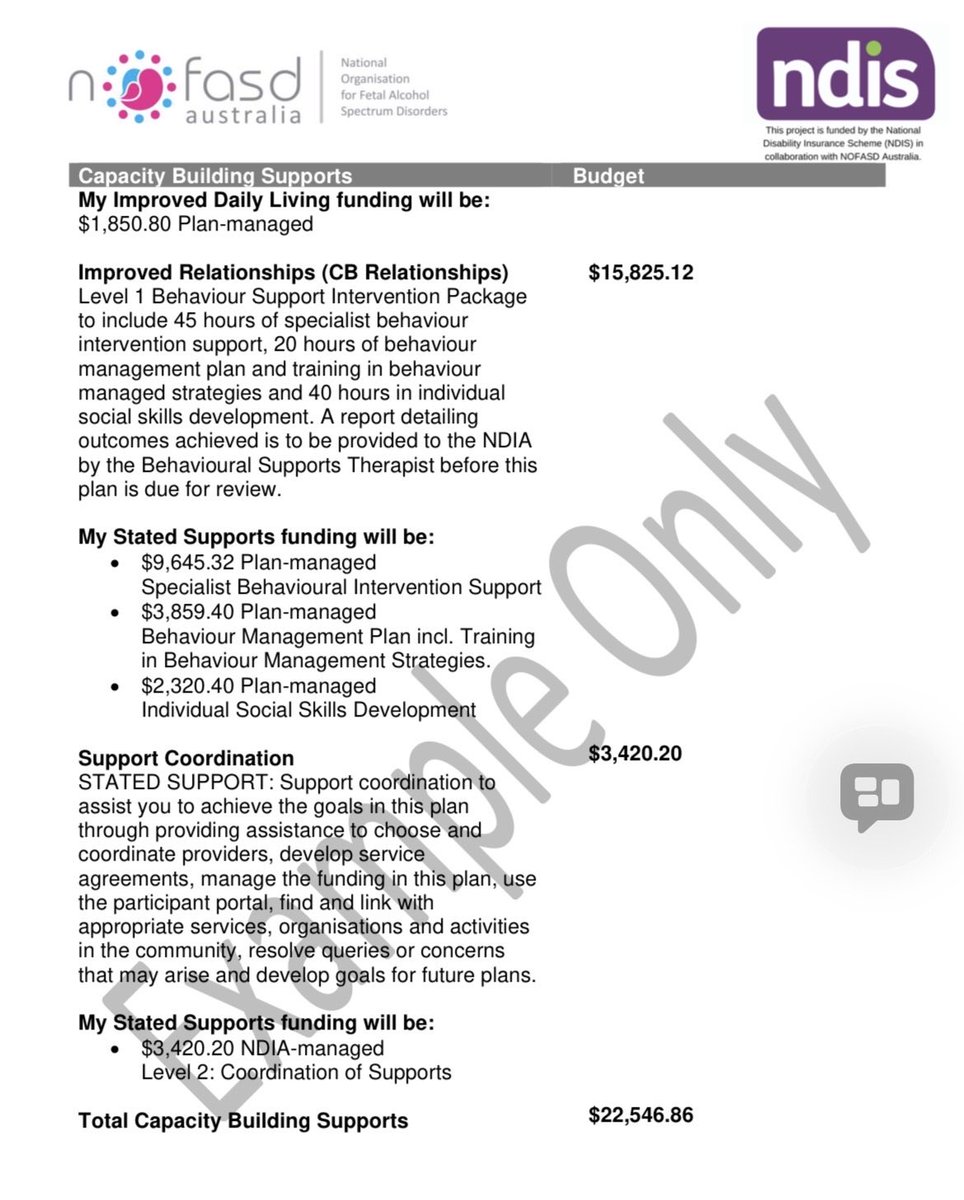 This is a sample plan for an approved NDIS recipient. They are paid $48,336 in funding per year to achieve their goals which include wanting to do more social and recreational activities, behaving better and developing a graphic design website. 

None of this is VITAL care.
