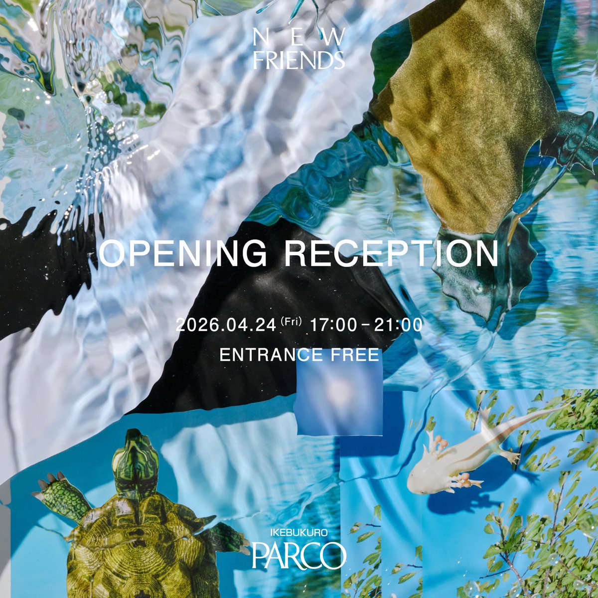 宮谷 行美(Pikumin) tweet media