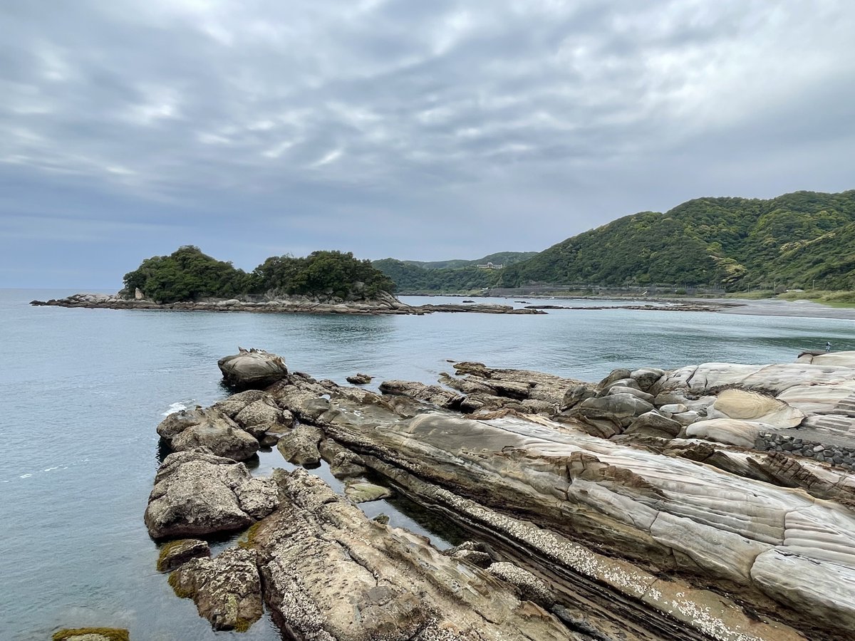 なうしか tweet media