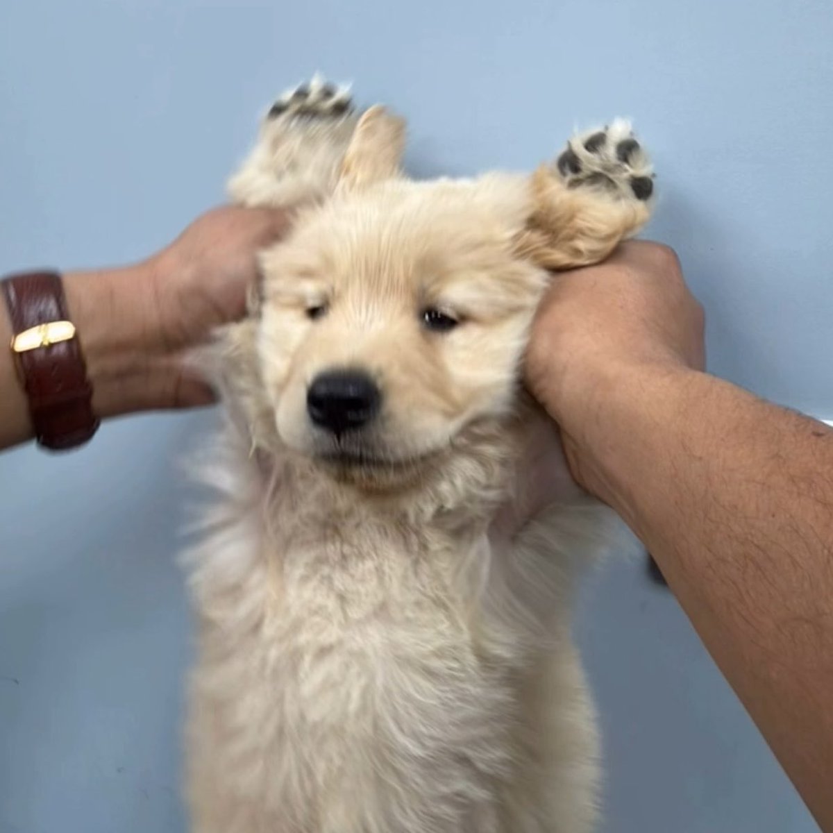 takemybear 🐶 tweet media