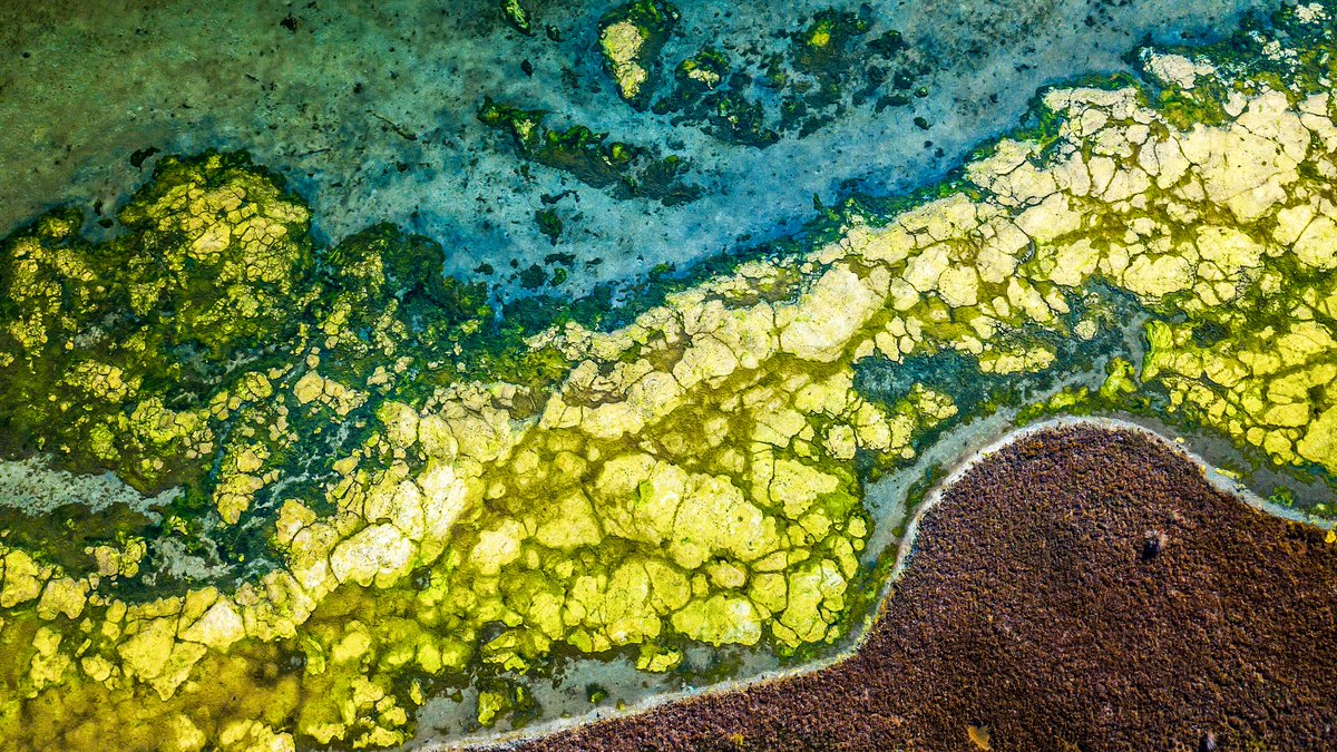 Ray Smith - Ministry Of Angels tweet media