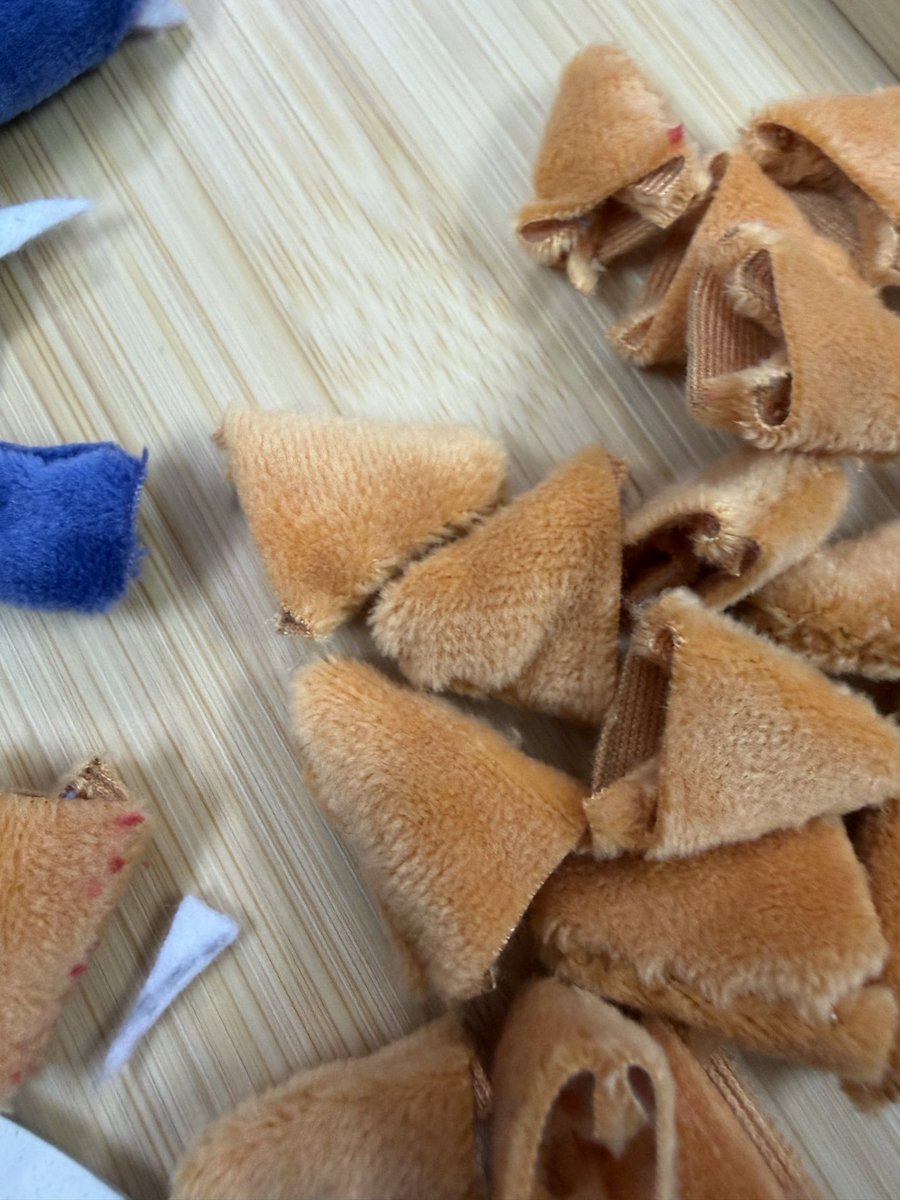 mieeのせかい🗺️ tweet media