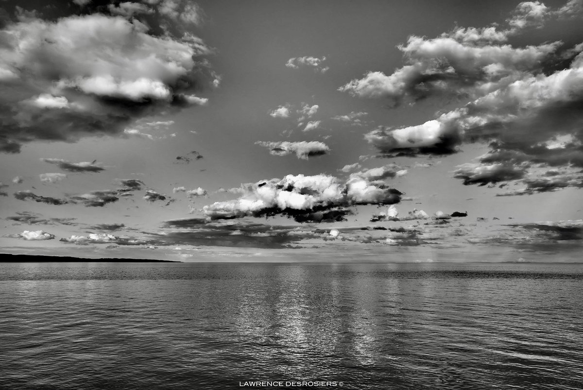 Lawrence tweet media