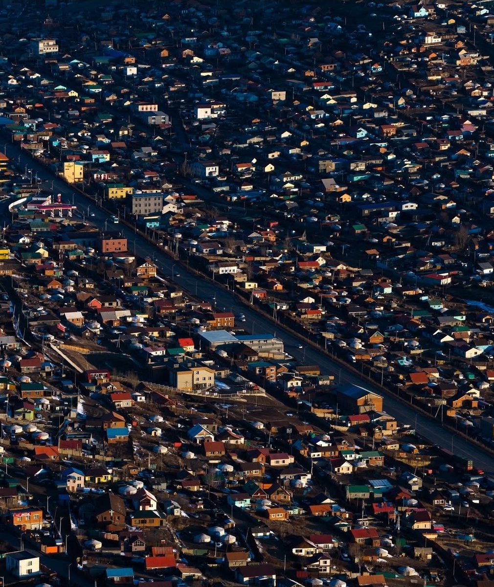 Шарайд tweet media